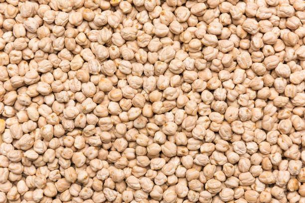 The Matel International - WhatsApp Image 2025-09-29 at 10.23.52 AM (1)